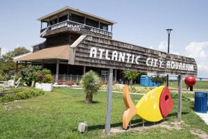 When The Atlantic City Aquarium Reopens, People Want More » NJ CRDA